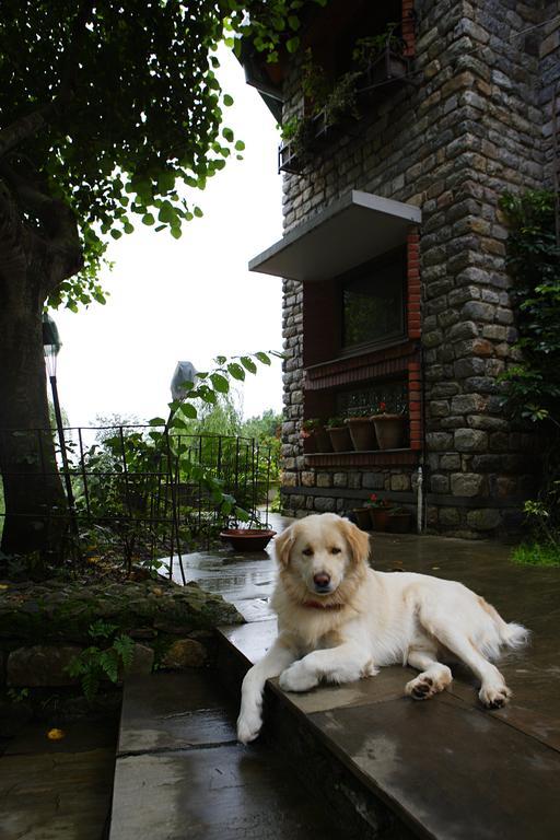 Saffronstays Himalaica, NainitalBhowali エクステリア 写真